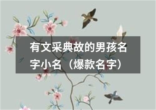 有文采典故的男孩名字小名（爆款名字）