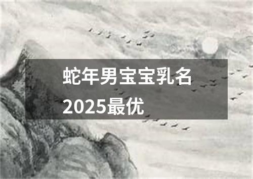 蛇年男宝宝乳名2025最优