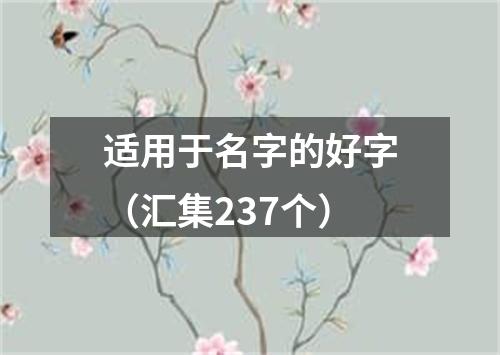 适用于名字的好字（汇集237个）