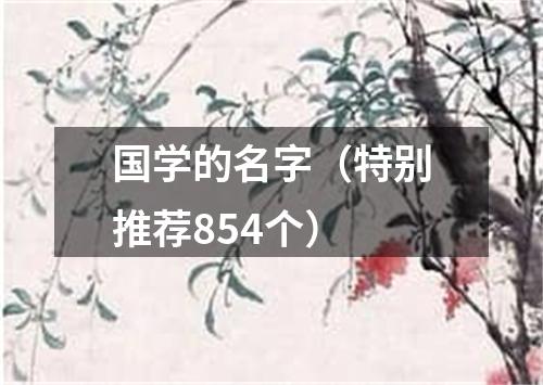 国学的名字（特别推荐854个）