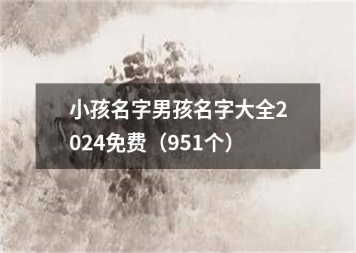 小孩名字男孩名字大全2024免费（951个）