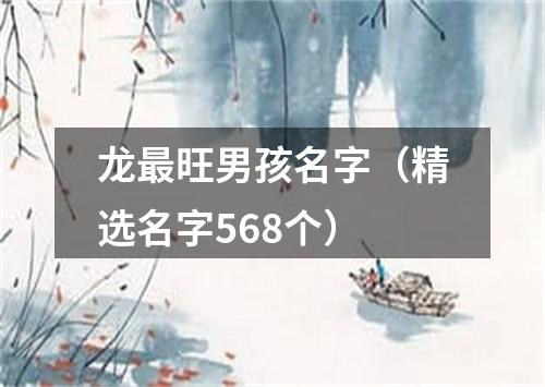 龙最旺男孩名字（精选名字568个）