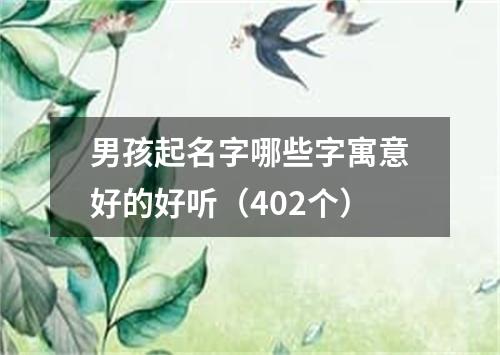 男孩起名字哪些字寓意好的好听（402个）