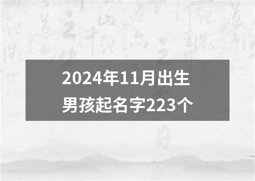 2024年11月出生男孩起名字223个