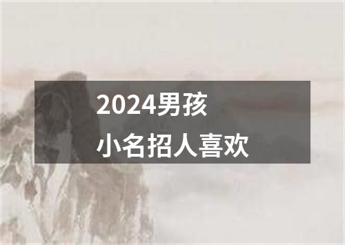 2024男孩小名招人喜欢