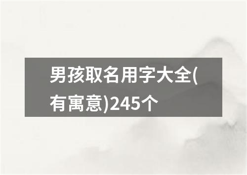 男孩取名用字大全(有寓意)245个