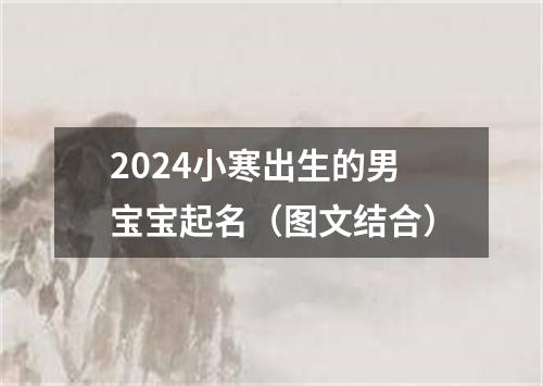 2024小寒出生的男宝宝起名（图文结合）