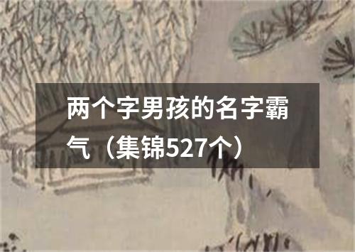 两个字男孩的名字霸气（集锦527个）