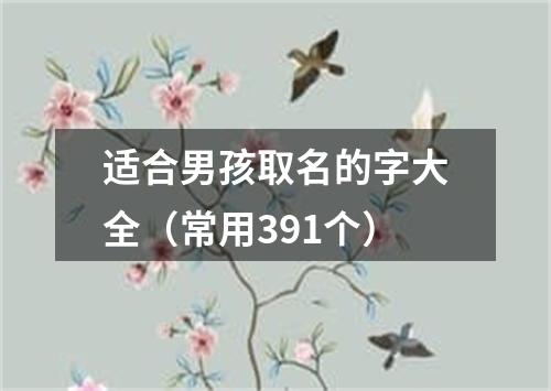 适合男孩取名的字大全（常用391个）