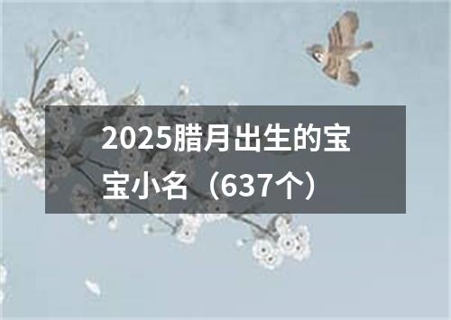 2025腊月出生的宝宝小名（637个）