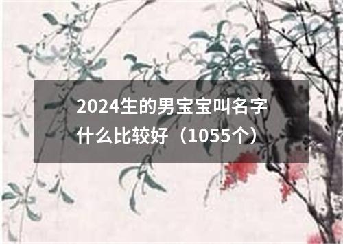 2024生的男宝宝叫名字什么比较好（1055个）