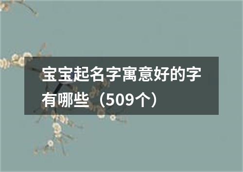 宝宝起名字寓意好的字有哪些（509个）