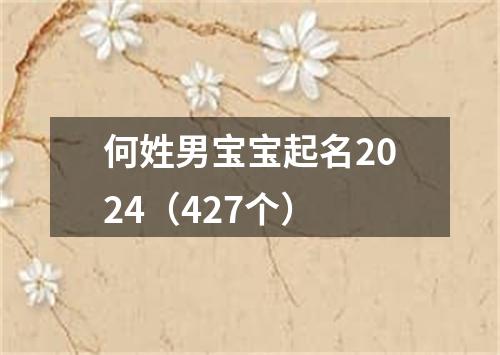 何姓男宝宝起名2024（427个）