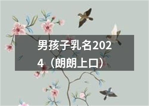 男孩子乳名2024（朗朗上口）