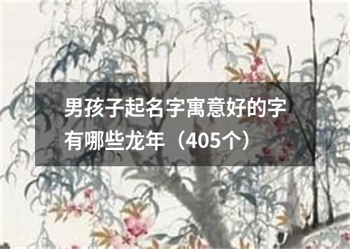 男孩子起名字寓意好的字有哪些龙年（405个）