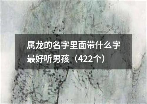 属龙的名字里面带什么字最好听男孩（422个）