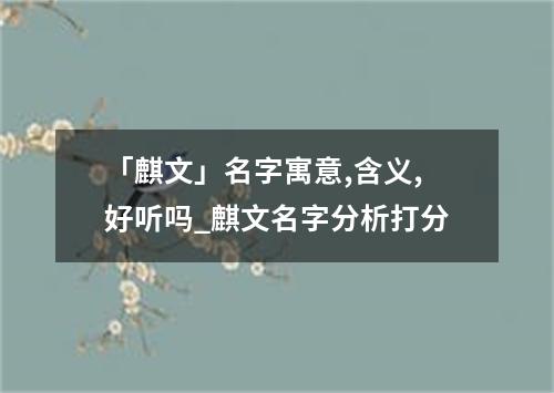 「麒文」名字寓意,含义,好听吗_麒文名字分析打分