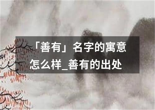 「善有」名字的寓意怎么样_善有的出处