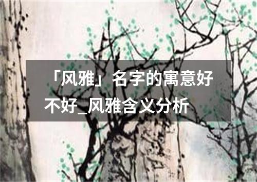 「风雅」名字的寓意好不好_风雅含义分析