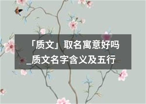 「质文」取名寓意好吗_质文名字含义及五行