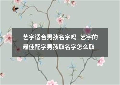 艺字适合男孩名字吗_艺字的最佳配字男孩取名字怎么取