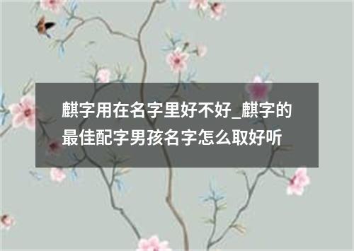 麒字用在名字里好不好_麒字的最佳配字男孩名字怎么取好听