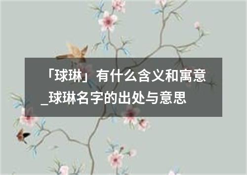 「球琳」有什么含义和寓意_球琳名字的出处与意思