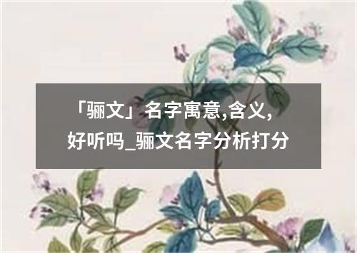 「骊文」名字寓意,含义,好听吗_骊文名字分析打分