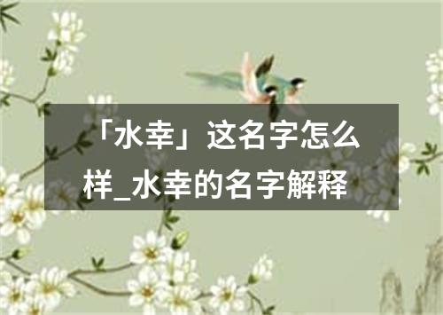 「水幸」这名字怎么样_水幸的名字解释