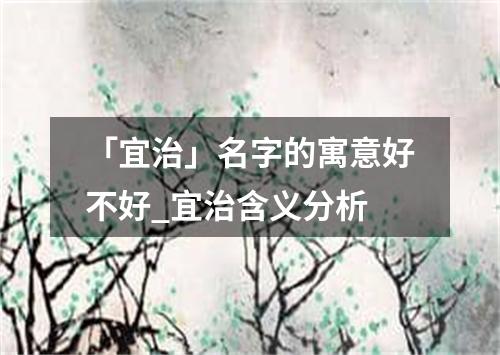 「宜治」名字的寓意好不好_宜治含义分析