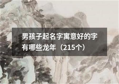 男孩子起名字寓意好的字有哪些龙年（215个）