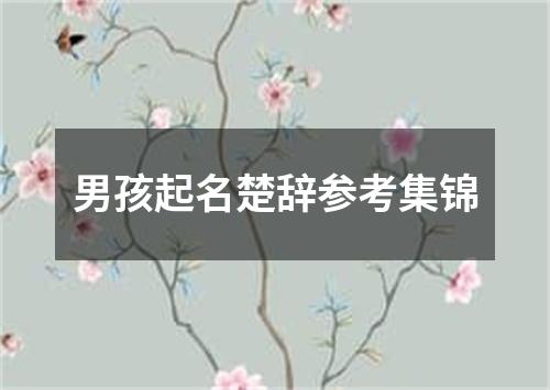 男孩起名楚辞参考集锦