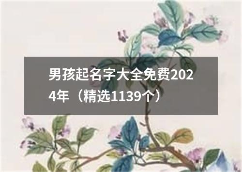 男孩起名字大全免费2024年（精选1139个）