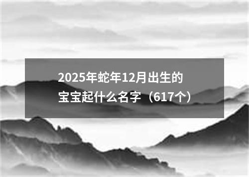 2025年蛇年12月出生的宝宝起什么名字（617个）