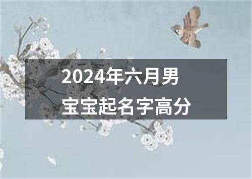 2024年六月男宝宝起名字高分