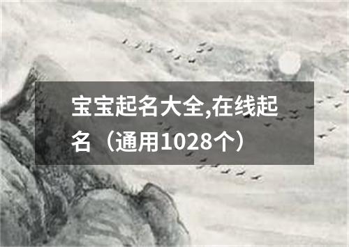 宝宝起名大全,在线起名（通用1028个）