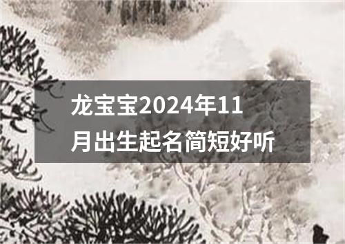 龙宝宝2024年11月出生起名简短好听