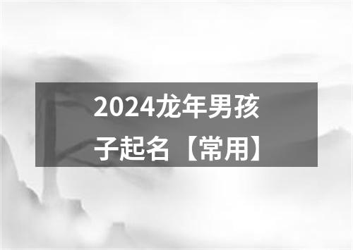 2024龙年男孩子起名【常用】