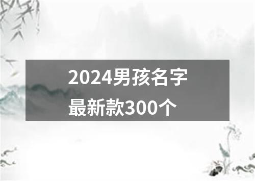 2024男孩名字最新款300个