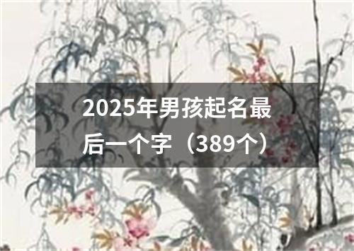 2025年男孩起名最后一个字（389个）