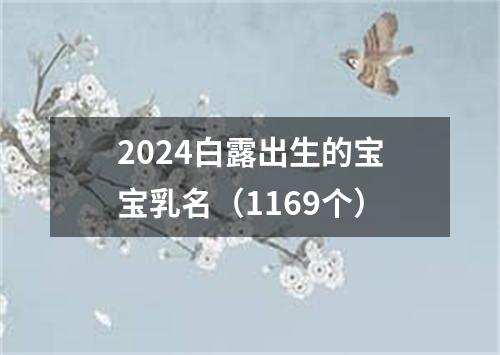 2024白露出生的宝宝乳名（1169个）