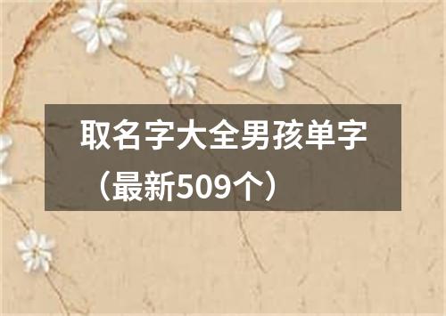 取名字大全男孩单字（最新509个）