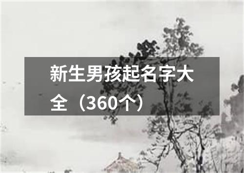 新生男孩起名字大全（360个）