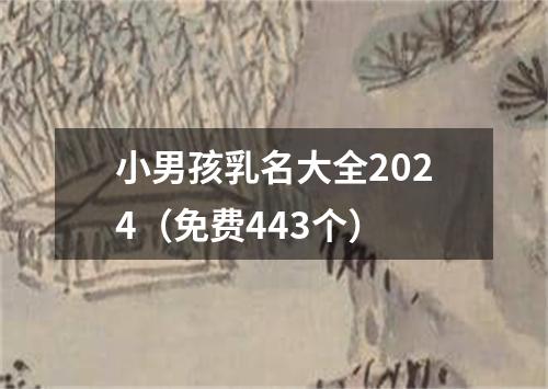 小男孩乳名大全2024（免费443个）