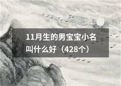 11月生的男宝宝小名叫什么好（428个）