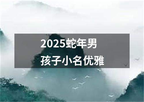 2025蛇年男孩子小名优雅