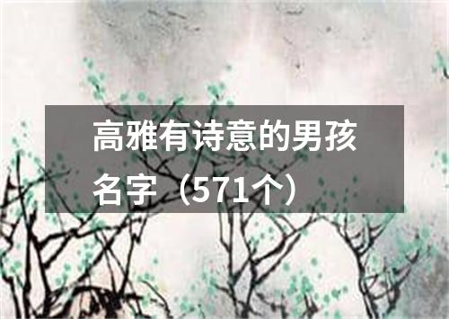 高雅有诗意的男孩名字（571个）