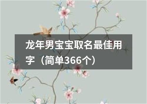 龙年男宝宝取名最佳用字（简单366个）