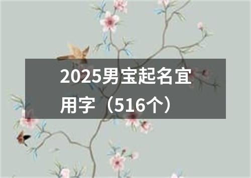 2025男宝起名宜用字（516个）