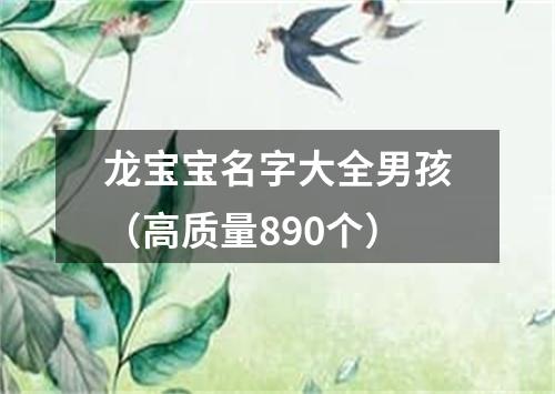 龙宝宝名字大全男孩（高质量890个）